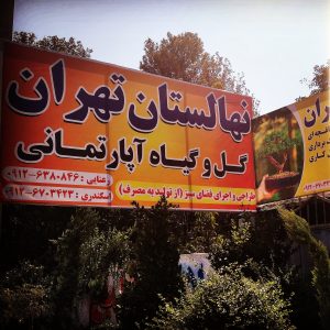 عرضه انواع نهال-درخت و گل و گیاه-گل های باغچه ای و آپارتمانی-سایت تبلیغاتی نیازجو