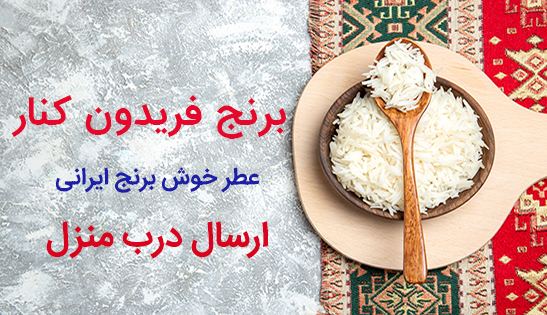 برنج فریدونکنار - نیازجو