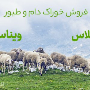 خرید و فروش ملاس و ویناس چغندرقند، نیشکر و ذرت