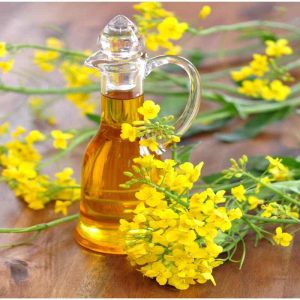روغن کلزا ( کانولا ) به صورت ظرفی و فله-سایت تبلیغاتی نیازجو