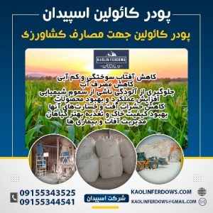 پودر کائولین اسپیدان جهت مصارف کشاورزی-پودر میکرونیزه کائولین معادن کائولین قلندرکوه و نادر فردوس-سایت تبلیغاتی نیازجو